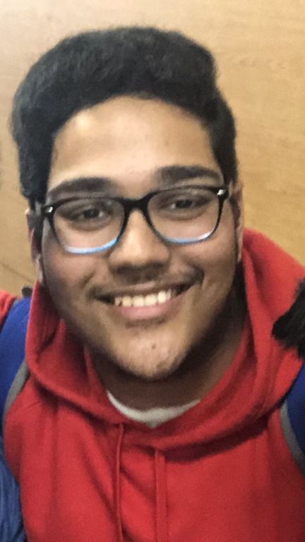 Mayank Kamaleshkumar